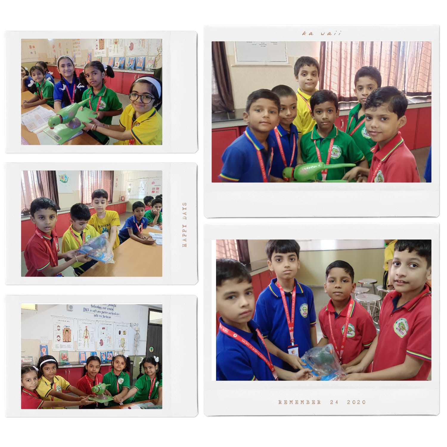 Annual Day 1